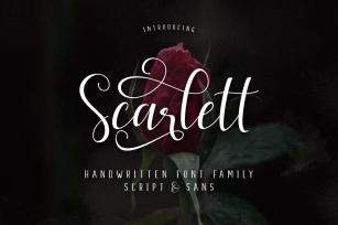 PROMO WEEK_Scarlett Font Family Font Download