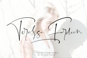 The Brittany / Font Trio Font Download