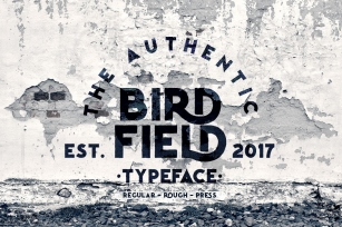 Birdfield Typeface Font Download