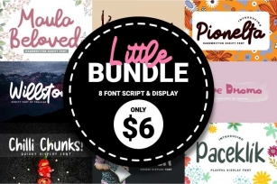 Little Bundle Script & Display Font Font Download