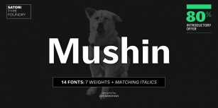 Mushin Font Download