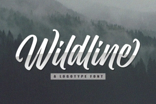 Wildline - Urban Lettering Font Font Download