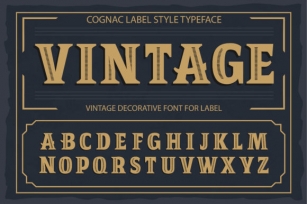 Vintage Font Download