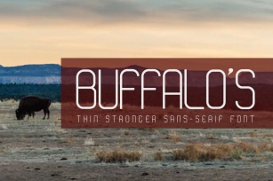 BUFFALOS Thin Stronger Sans Serif Font Font Download