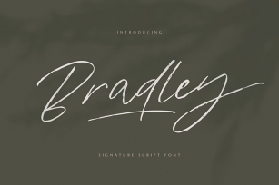 Bradley Signature Script Font Font Download