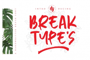 Break Types - Special 1 Dollar Font Download