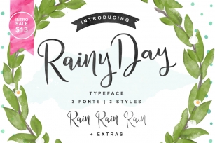 Rainy Day | Intro Sale - $13 Font Download