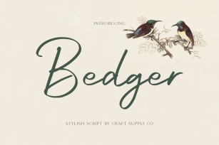 Bedger - Stylish Script Font Font Download