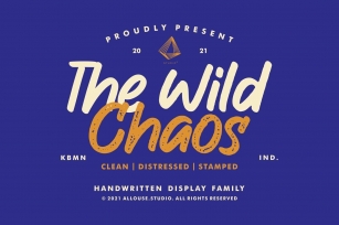 Web Font | The Wild Chaos | Family Font Download