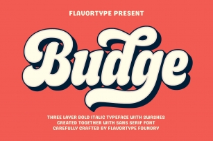Budge - Layer Fonts Font Download