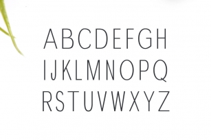 Hurst Sans Serif Typeface Font Download