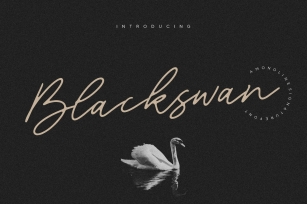 Blackswan Monoline Signature Font Font Download
