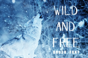 WILD & FREE Brush Font Font Download