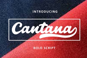 Cantana Bold Script Font Download