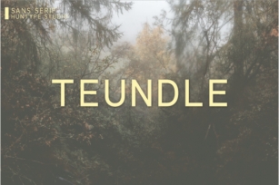 Teundle Font Download