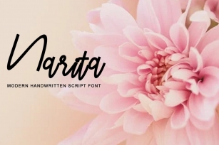 Narita Modern Handwritten Script Font Font Download