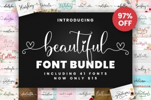 Beautiful Font Bundle Font Download