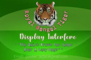 Royal Bengal Tiger Font Download