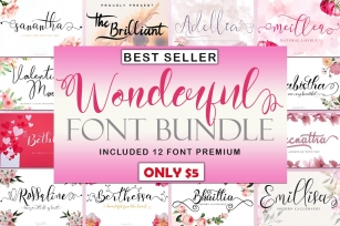 Best Seller Wonderful Font Bundle Font Download