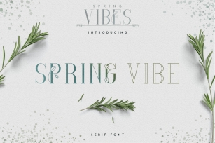[Spring Vibes] SpringVibe Serif Font -30% Font Download