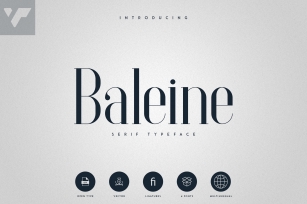 Baleine - Serif Typeface | 4 weights Font Download