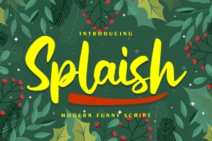 Splaish | Modern Funny Script Font Font Download