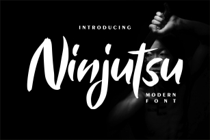 Ninjutsu | Modern Font Font Download
