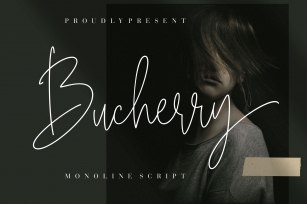 Bucherry Monoline Script Font Download