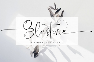 Blastine-Beautiful Signature Font Font Download