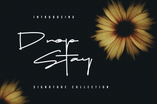 Drop Stay - Signature Style Font Download