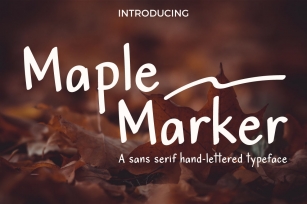 Maple Marker sans serif font Font Download