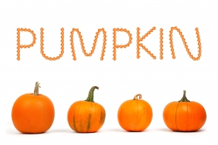 Pumpkin Halloween Font Font Download
