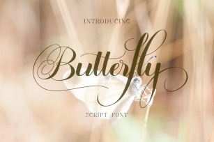 Butterfly Script Font Download