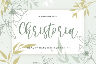 Christoria Beauty Handwritten Script Font Download