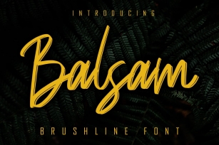 Balsam Brushline Font Font Download