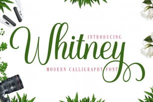 Whitney Font Download