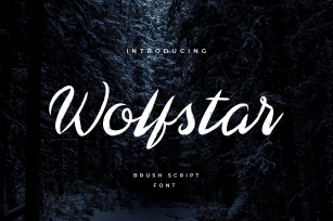 Wolfstar Modern Hanwritten Font Download