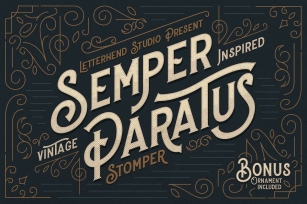 Stomper - A Vintage Display Font Font Download