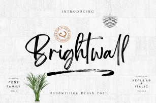 Brightwall Brush Font Font Download