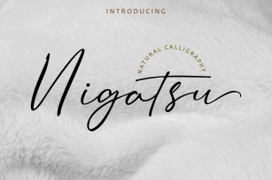 Nigatsu Font Download