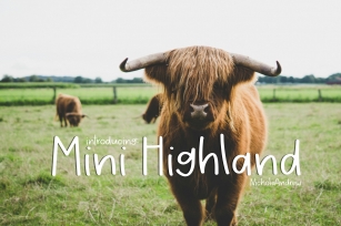 Mini Highland - A Handwritten Font Font Download