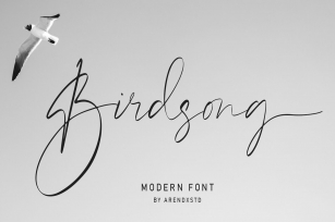 Birdsong Script Font Download