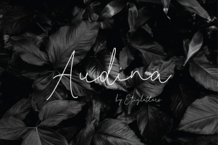 Audina Font Download