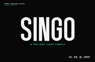 Singo - Sans Display Font Font Download