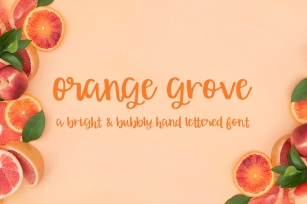 Orange Grove Script Font Font Download