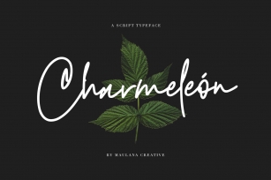 Charmeleon Script Typeface Font Download