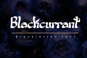 Blackcurrant Font Download