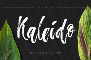 Kaleido - script brush font Font Download
