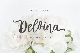 Delvina Font Download