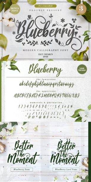 Blueberry Love Font Download
